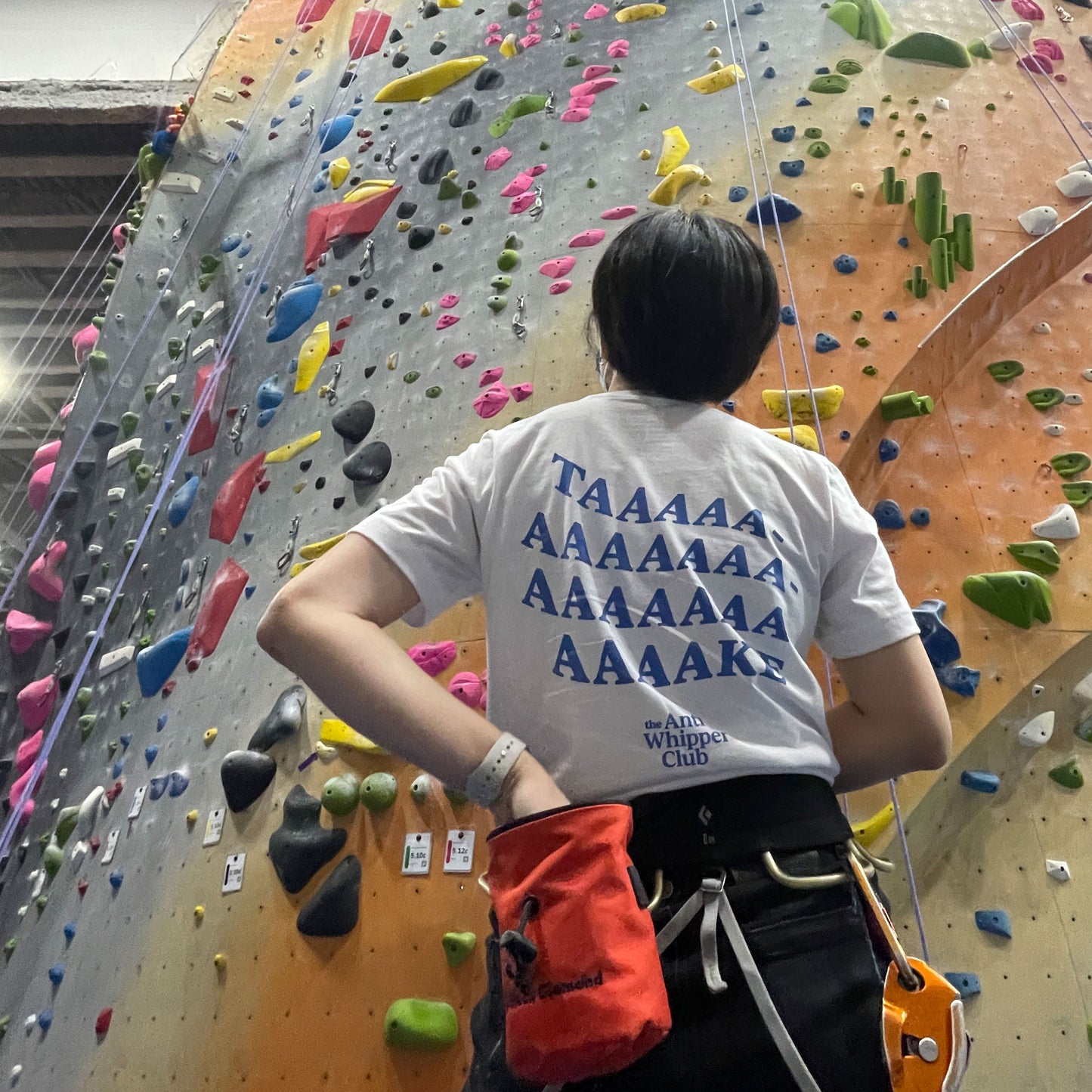 the Anti Whipper Club t-shirt (white)